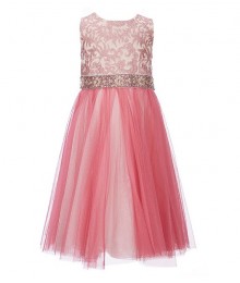 Rare Editions Pink Embroidered Mesh Jewelled Waist Dress 